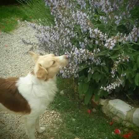 Casetto Rosso Apartman San Lazzaro di Savena
