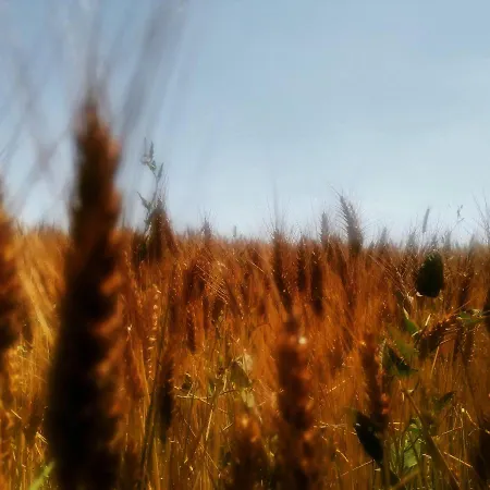 Apartman Casetto Rosso