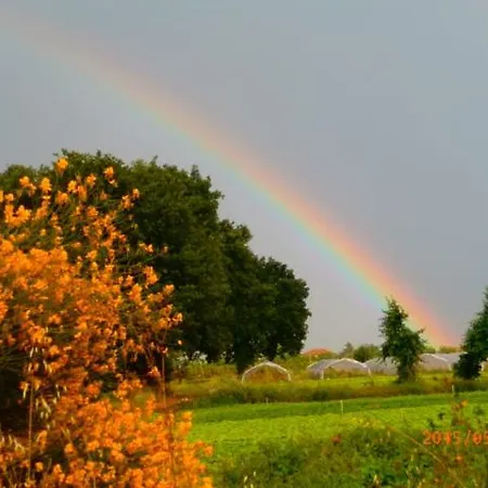 アパート Casetto Rosso