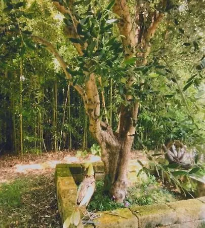 アパート Casetto Rosso