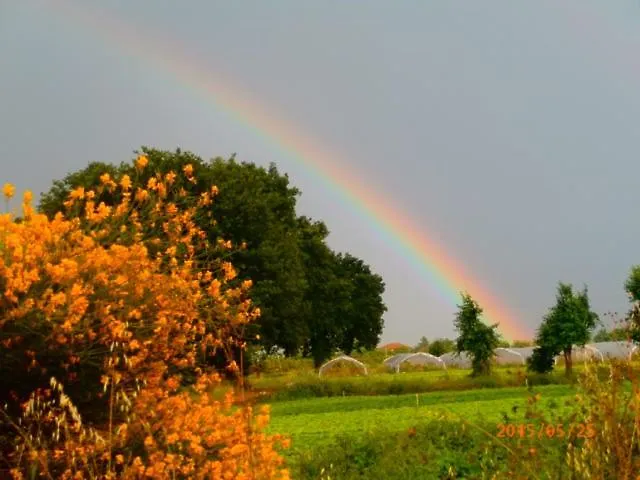 شقة Casetto Rosso