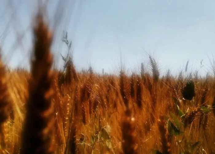 شقة Casetto Rosso