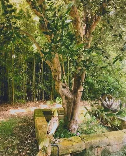 شقة Casetto Rosso